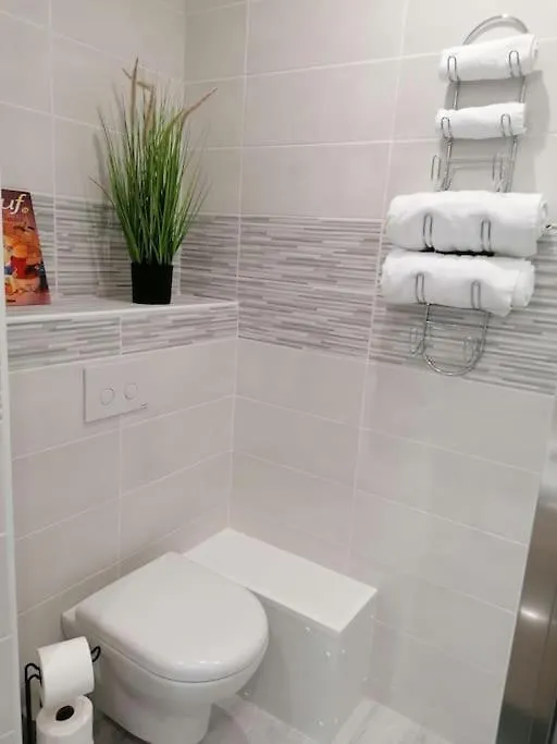 L'Harmonie 72M2 - 2 Chambres Parentales - Rue De La Halle - Hyper Centre Lourdes
